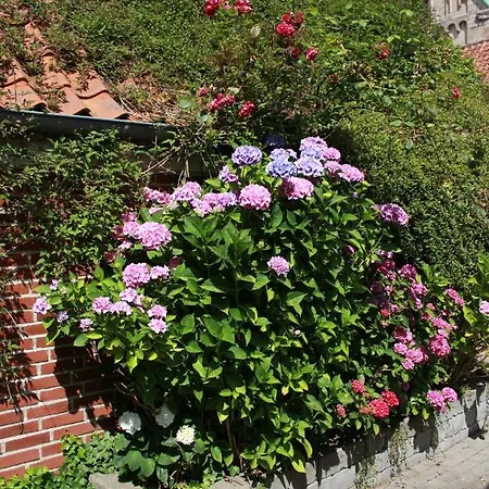 公寓 Ribe Ferielejlighed *